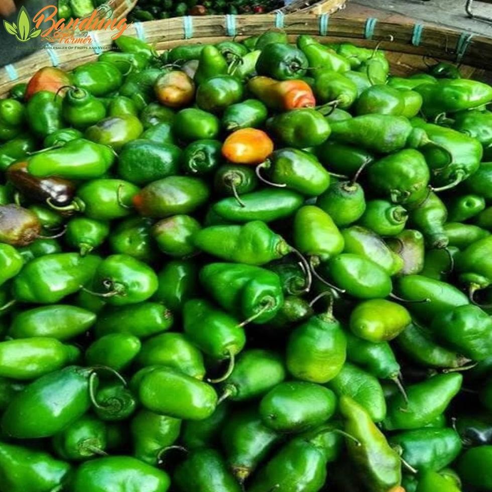 

Momen Spesial Cabe Gendot Bandung 250 Gr Fresh