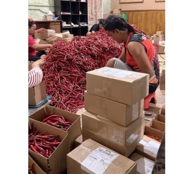 

Buktikan Cabai Keriting Imperial 500 Gram