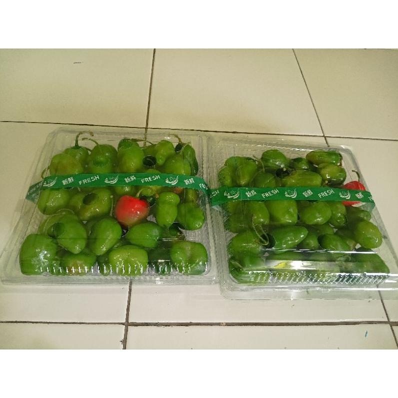 

Kualitas Tertinggi Cabe Gendot Fresh Segar 250 Gram-1Kg Termurah