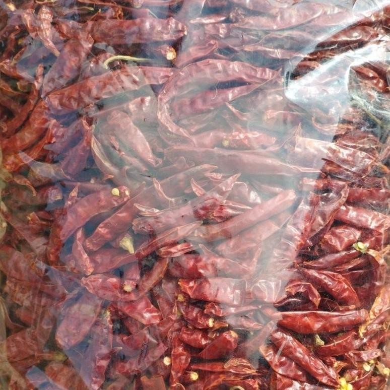 

Tahan Lama 1Bal Isi 5Kg Cabe Rawit Teja Kering (Premium) No.1 Grade A Pedas Alami /Harga Hemat