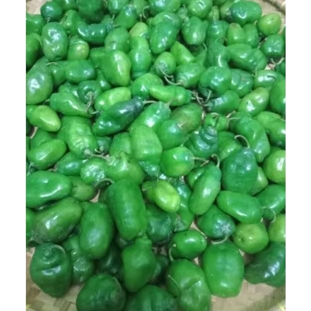 

Tangguh Cabe Gendot Bandung Cabai Bendot Fresh 500Gr