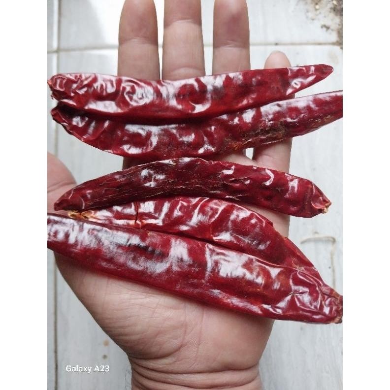 

Trendi Promo !! 5Kg Cabe Merah Besar / Tanjung (Tidak Pedas ) Kualitas Super