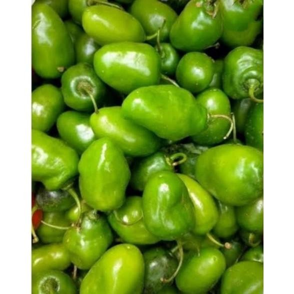 

Paling Dicari Cabai Bendot Cabe Gendot Bandung Segar 250Gr Ekstra Pedas