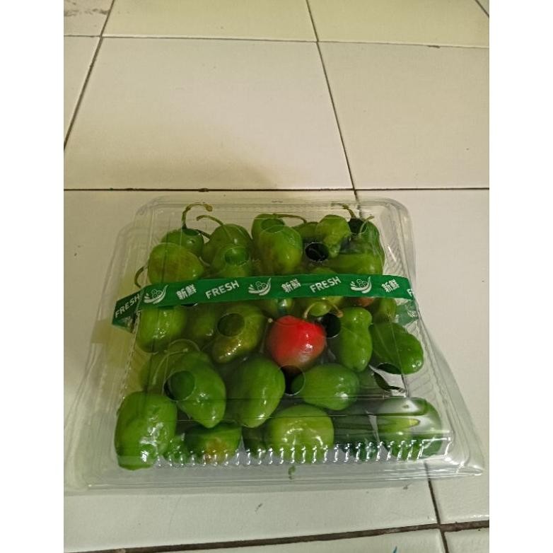 

Waktu Terbatas Cabe Gendot Fresh Segar 250 Gram-1Kg Termurah