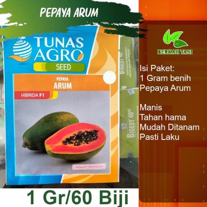 

TERMURAH BENIH PEPAYA HAWAI MADU ARUM F1 - ISI 60 BIJI PEPAYA MANIS SUPER