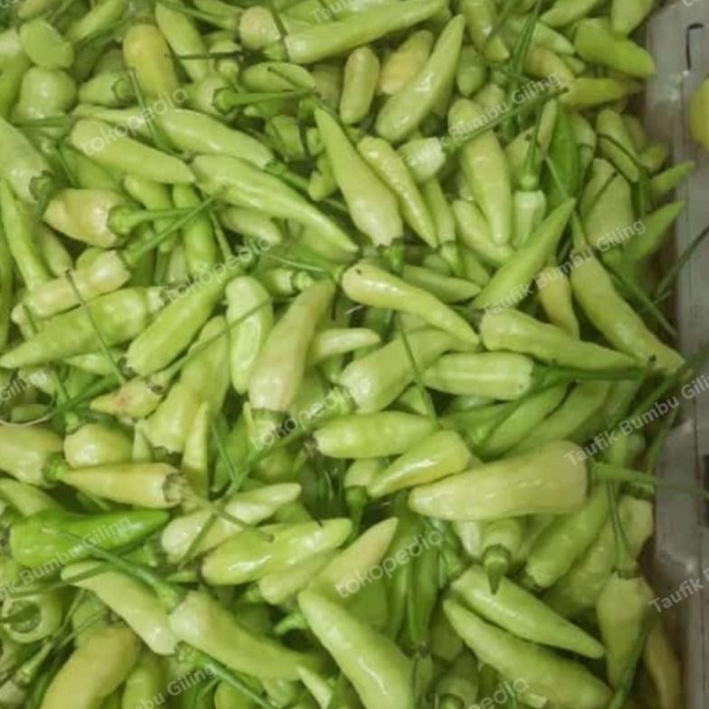 

Terpercaya Cabe Rawit,Cabe Hijau,Lombok Kepiting,Lombok Besar