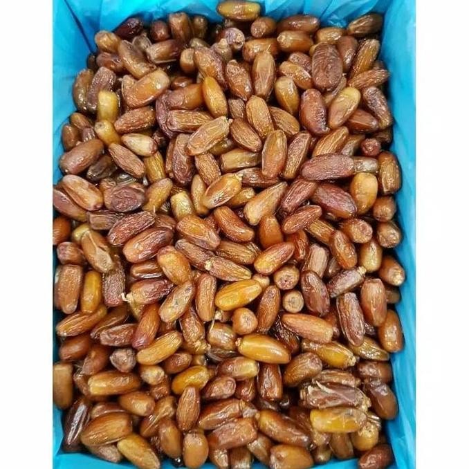 

TERMURAH KURMA TUNISIA MADU 1KG | KURMA MANIS MURAH TANPA TANGKAI