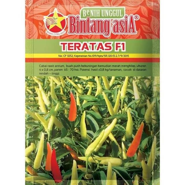 Benih Cabe Rawit Teratas F1 / Lentera F1 10 gram Merk Bintang Asia