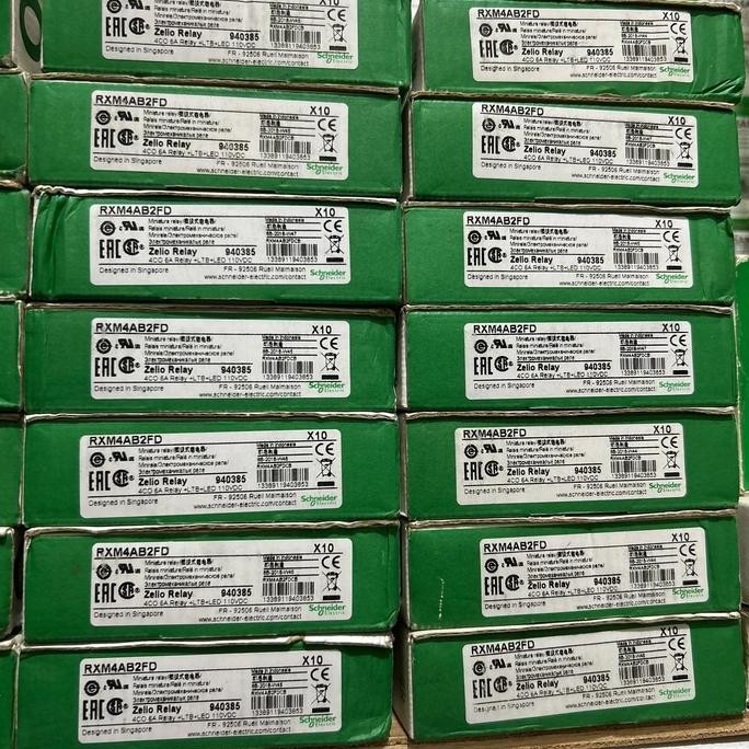 NEW RXM4AB2FD 110VDC RELAY SCHNEIDER 110V DC RXM4AB2FD 110 VDC