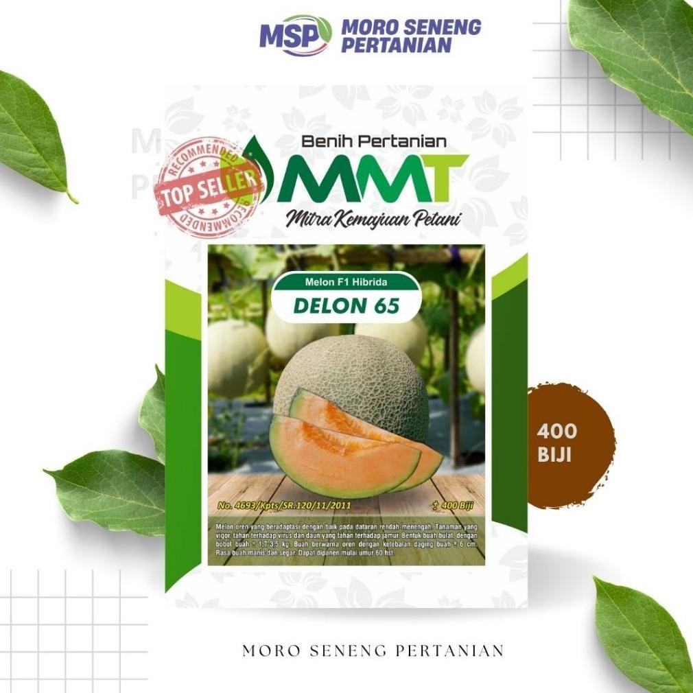 BENIH MELON F1 DELON 65