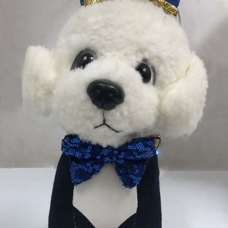 Planet Ekor COD  Topi pesta ulang tahun hewan peliharaan anak topi pesta ulang tahun topi anjing