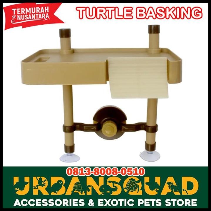 NOMOY BASKING TURTLE NF-26 KURA BRAZIL DAMER DBT DIAMOND BACK STINKPOT