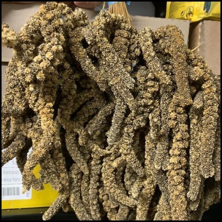 JEWAWUT TANGKAI HITAM 1 KG JEWAWUT GANTUNG MAKANAN FINCH PARKIT LB DLL