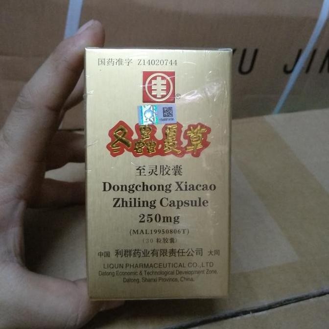 

TERMURAH - Dongchong Xiacao / Cordycep