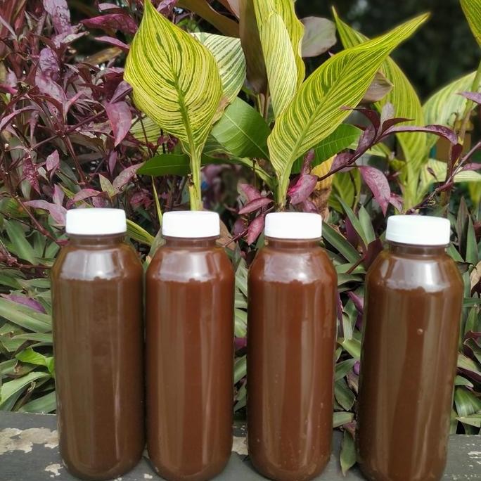 

Jahe Merah Cair 500 ml LS