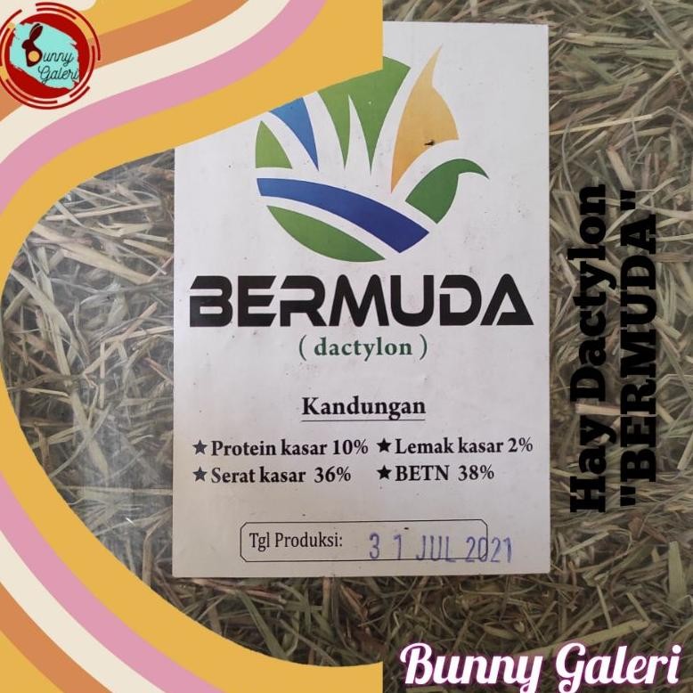HAY DACTYLON "BERMUDA" kemasan 2 kg DiM