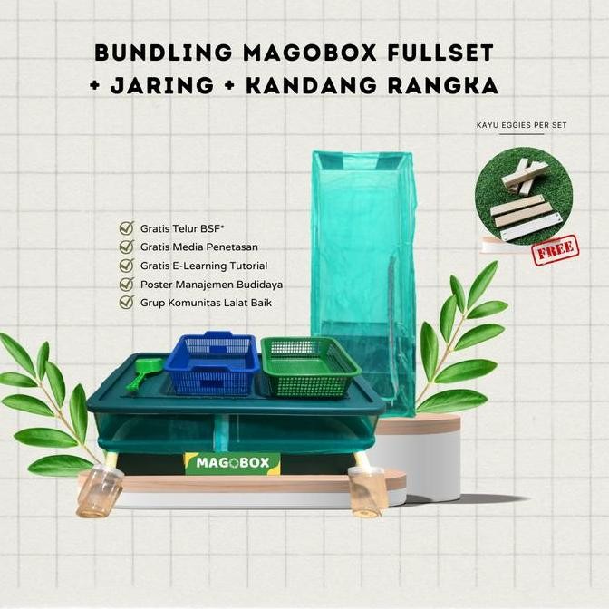Bundling Magobox Fullset dan Kandang BSF Rangka Paket Lengkap Budidaya