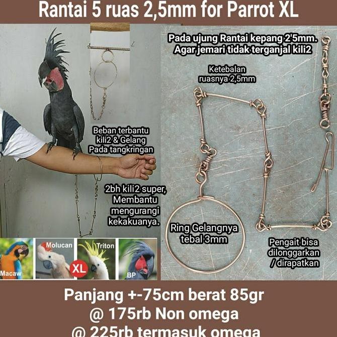 Paket Ring Kaki Omega dan Rantai Macau BNG hingga Macaw HYACHINT