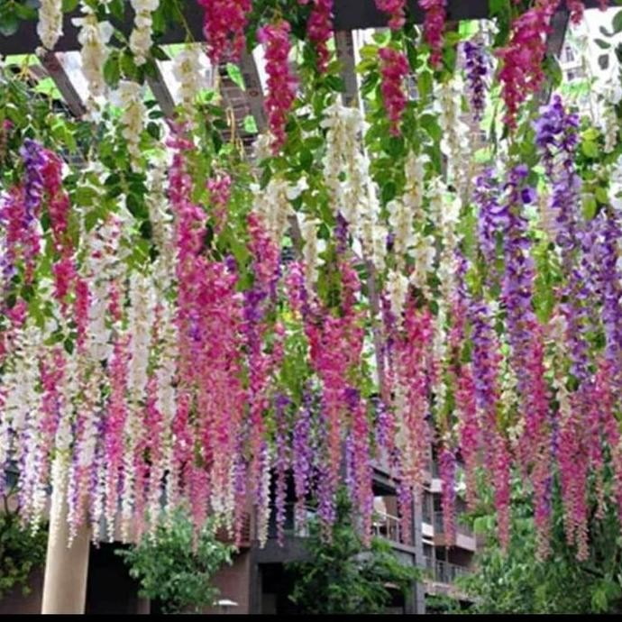BUNGA PLASTIK WISTERIA DEKORASI BUNGA HIAS GANTUNG ARTIFICIAL MURAH ASLI
