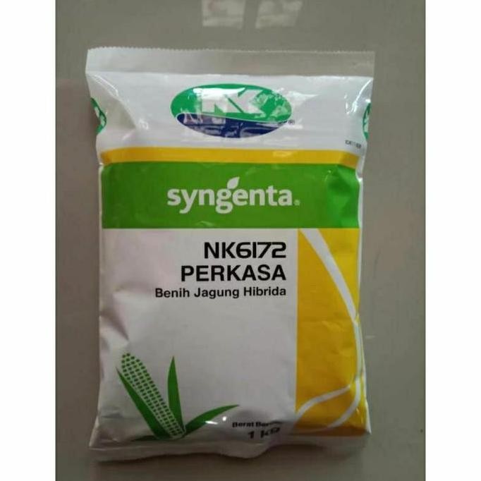 Benih Jagung Perkasa 1 Kg Benih Jagung Hibrida Nk 6172 Perkasa 1Kg Benih Jagung Super Unggul Warna K