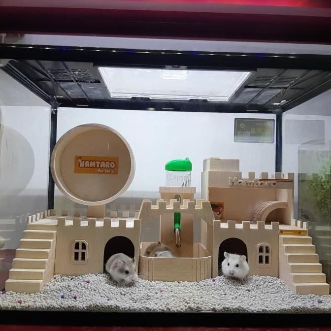 Terarium Kandang Hamster Besar Dan Lucu Mewah Dan Fullset