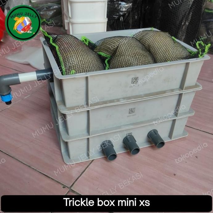 filter trickle mini 3 susun box filter kolam ikan aquarium xs ukuran kecil berkualitas