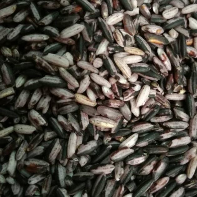 

Beras Ketan Hitam Sosoh (Spesial Tape Ketan) 1Liter Nugi