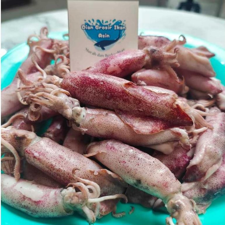 

Grosir Ikan Asin Dian - Ikan Asin Cumi Sontong Ukuran Jumbo 500 Gram (Cumi Rebus) Nugi