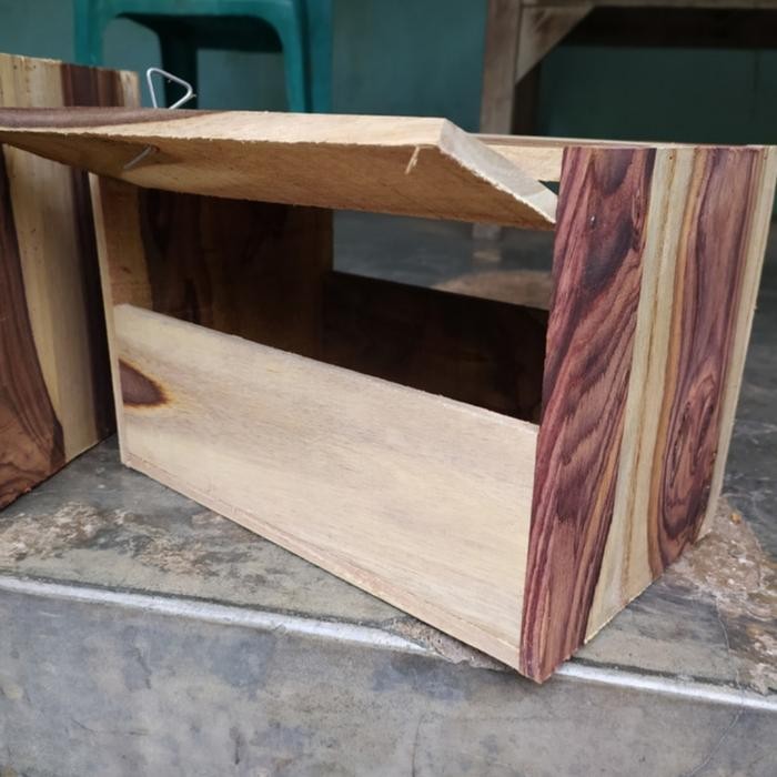 Glodok kotak panjang murai batu tangkringan 2 - glodok kotak murai