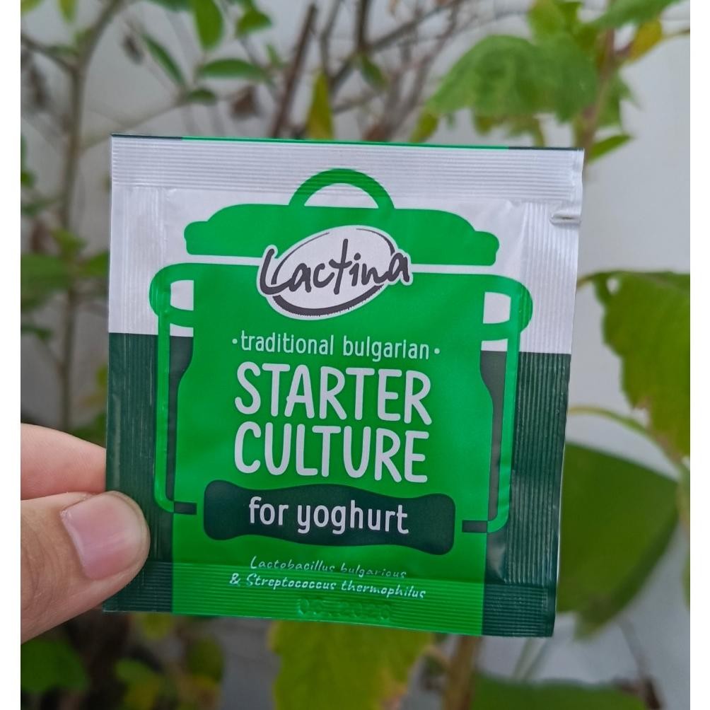 

Bibit yogurt Lactina Original "kental dan padat jika dipadukan dengan lacto b+" Nugi