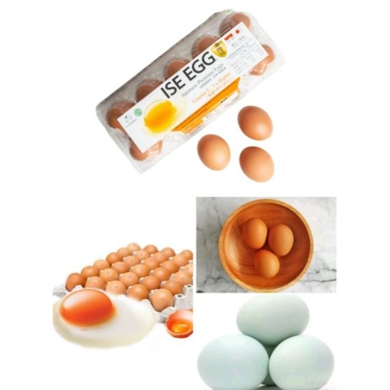 

Telur Ayam Negeri | Telur Ayam Omega | Telur Bebek Tawar Mentah | Telur Premium Jepang - Isi 10 Butir Nugi