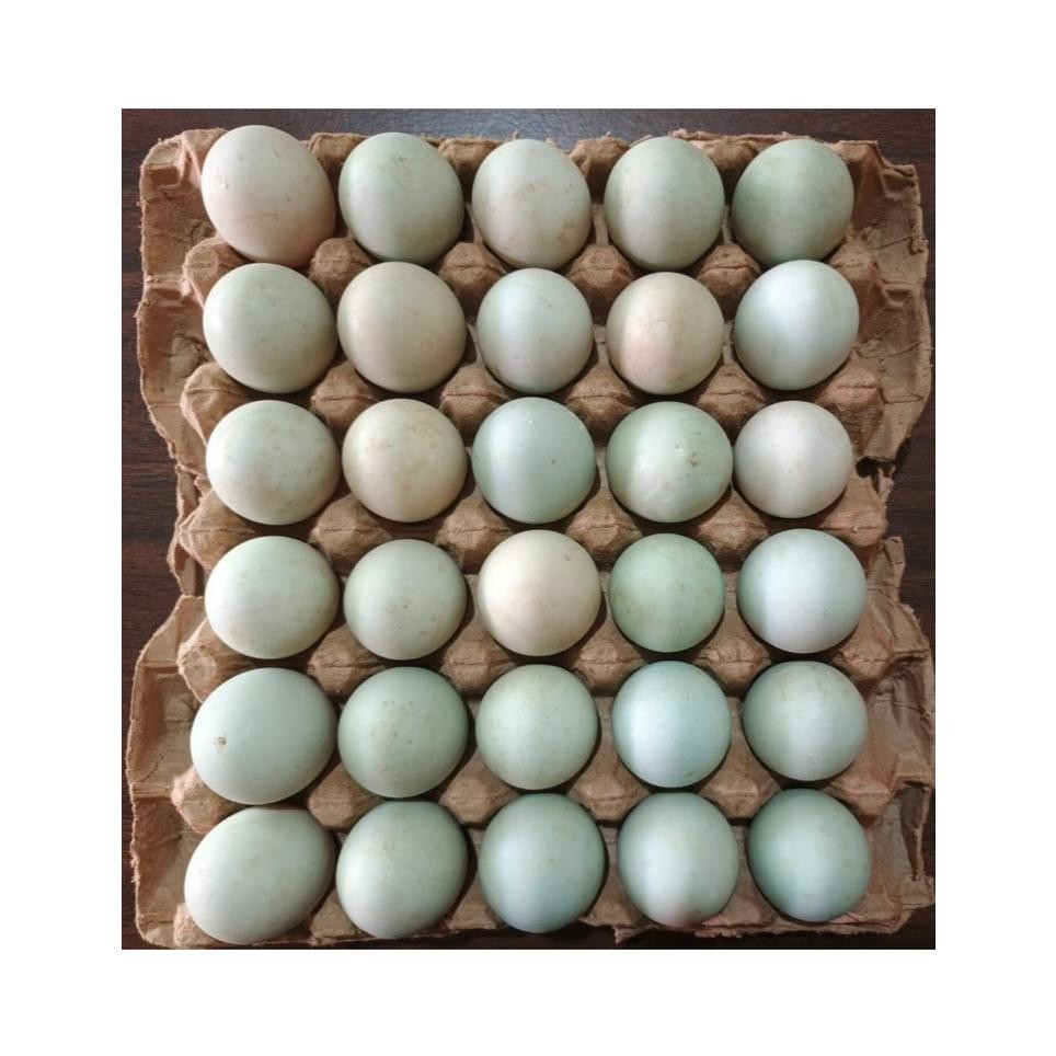 

Telur Bebek Mentah Organik per tray isi 30 Butir Nugi