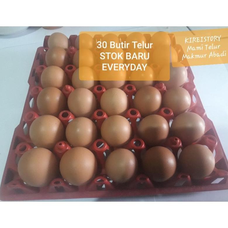 

Telur Ayam OMEGA 30 Butir Stock Baru Nugi