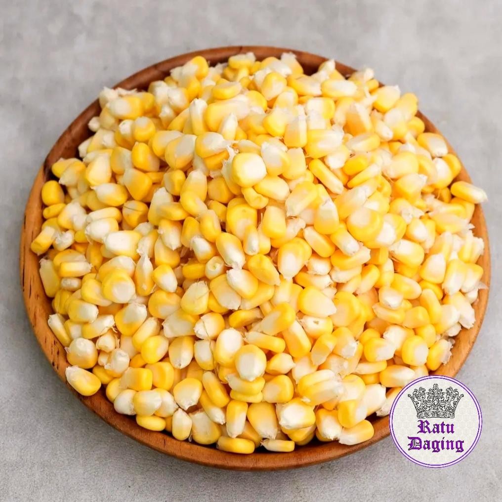 

Jagung Manis Pipil / Jagung Kupas @1kg - Kualitas Super Untuk Jasuke Nugi