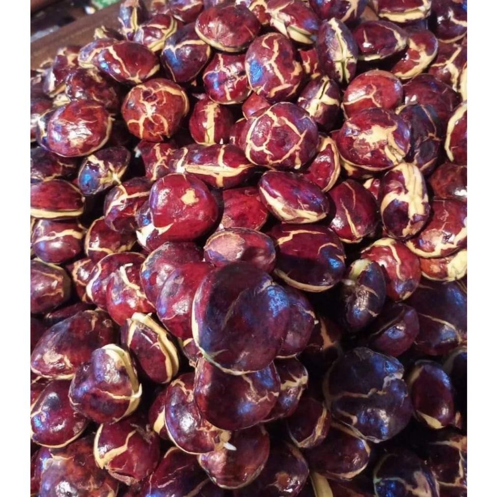 

jengkol tua mentah kualitas super kemasan 1kg Nugi