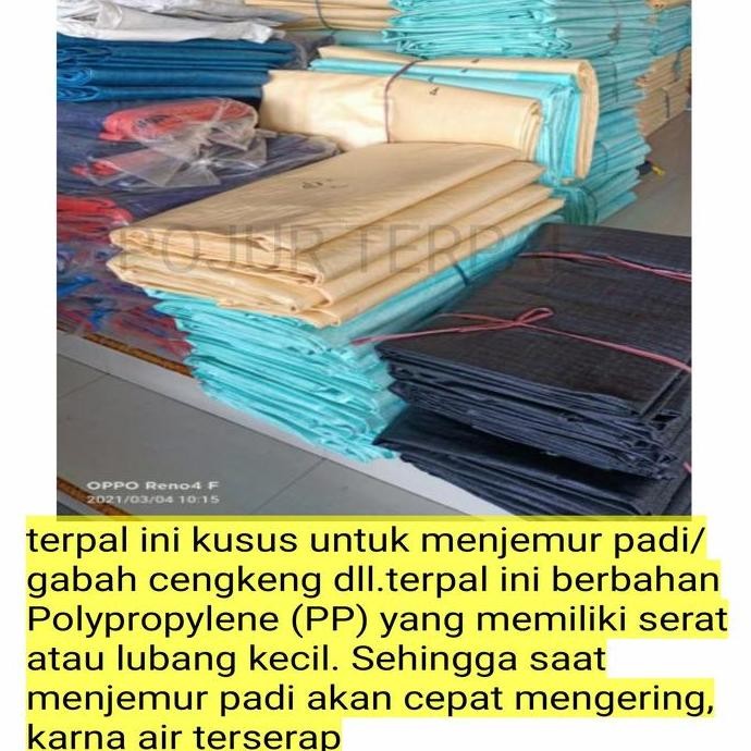 terpal hamparan padi/gelaran gabah