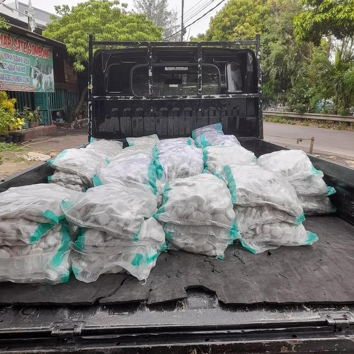 batu koral putih 10 kg