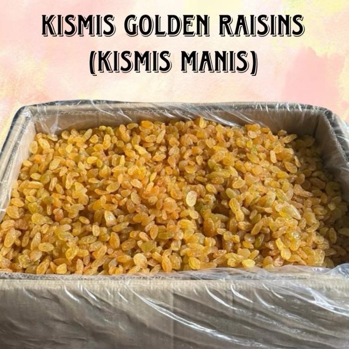 

Kismis Jumbo Golden Raisin Manis Segar Oleh Oleh Haji Dan Umrah