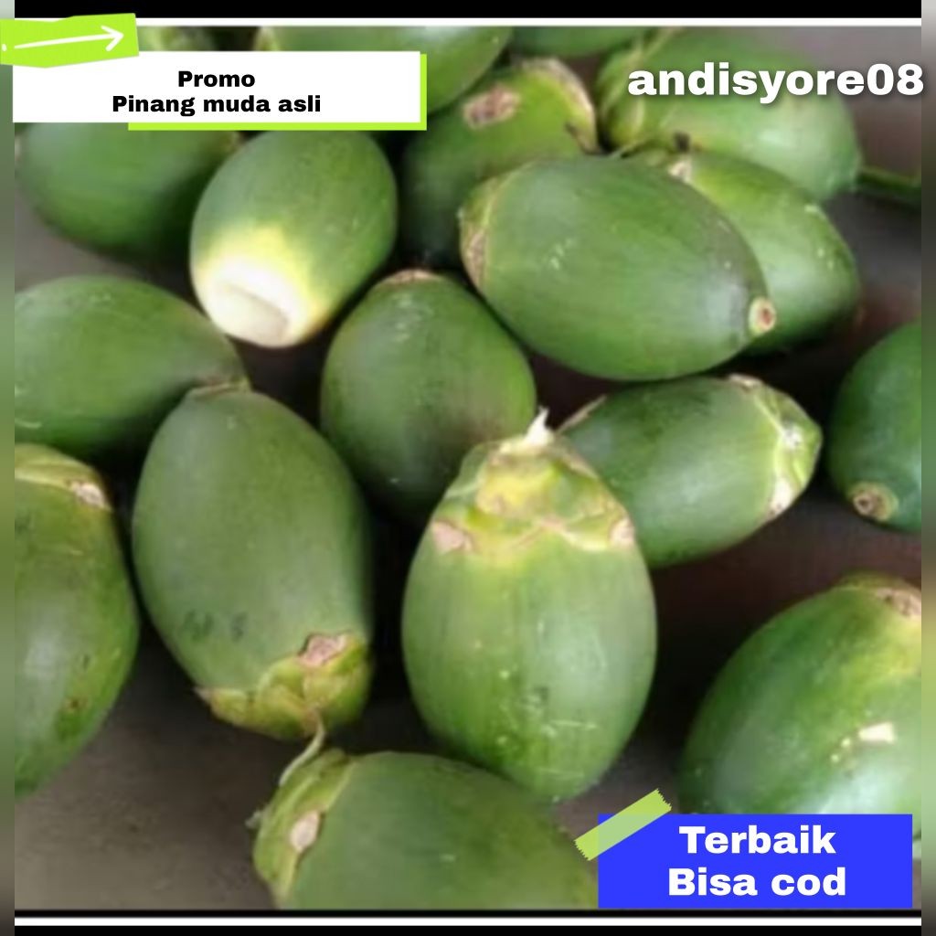 

buahnpinang muda asli 500g