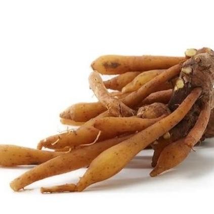 

Temu Kunci Segar 1kg