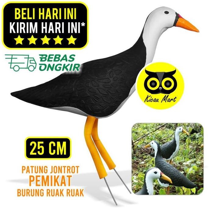 =+=+=+] Pemikat burung ruak kareo patung jontrot alat pikat burung sawah