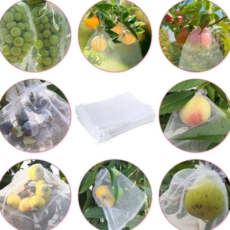 Promo Cod 100Pcs Fruit Cover/Pembungkus Buah/Fruit Cover Anti Serangga/Kantong Jaring Pembungkus/Bua