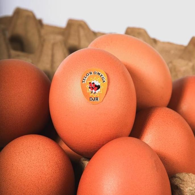 

Produk Baru!! Telur Ayam Negeri Omega 3 Super Segar per Kg