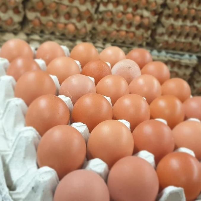 

Produk Baru!! Telur Ayam Negeri Segar 1 Kg Isi 16-18 Butir