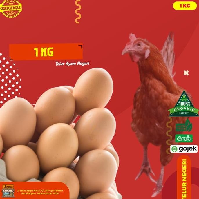 

Produk Baru!! Telur Ayam Negeri Curah Per Kg Fresh Telur Putih dari Kandang