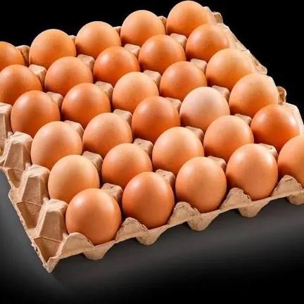 

Produk Baru!! Telur Ayam Negeri 1kg Kualitas Super - Telur Coklat Segar Isi 16 Butir