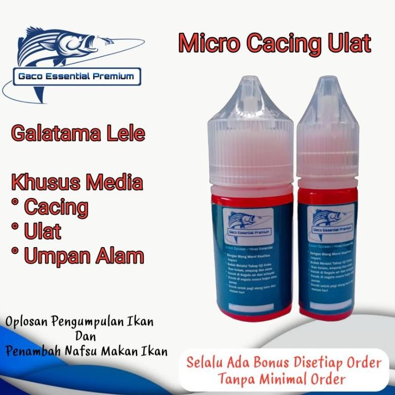 GACO Essen ikan lele MICRO CACING ULAT Dijamin anti zonk Nugi