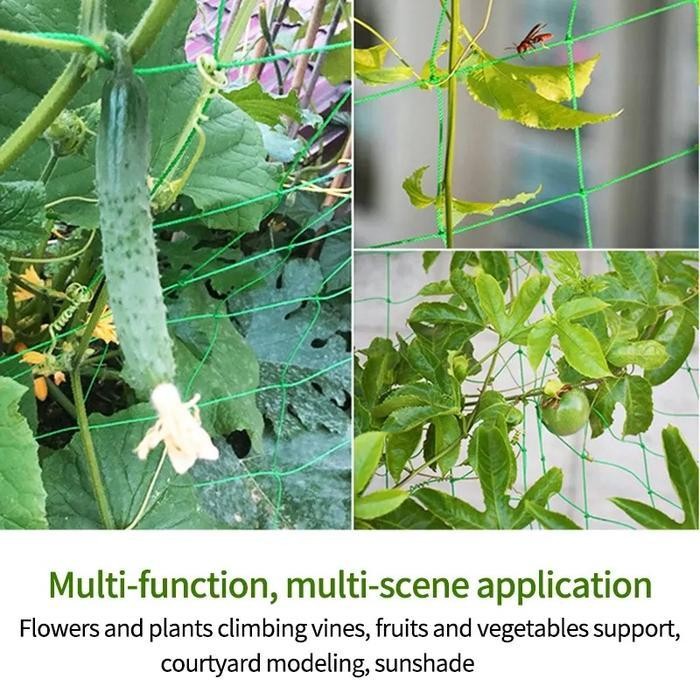 FT Jaring Rambatan Tanaman Buah Lanjaran Tanaman Merambat Jaring Pagar Ayam Kebun Tanpa Tali Frame