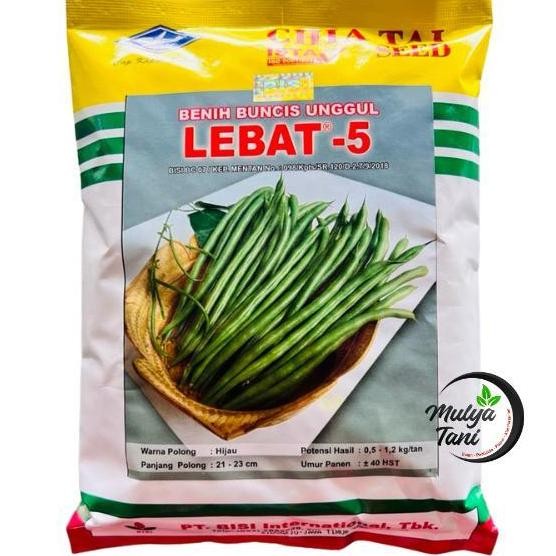 

Promo Terbaru!, Benih Buncis Lebat 5 500 Gram Cap Kapal Terbang