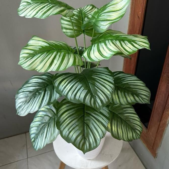 Asli Tanaman Hias Palsu Sudah Termasuk Pot Dekorasi Rumah Plastik Aesthetic